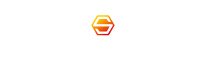 Lior-Sade-Clients-Logo-SkyTown